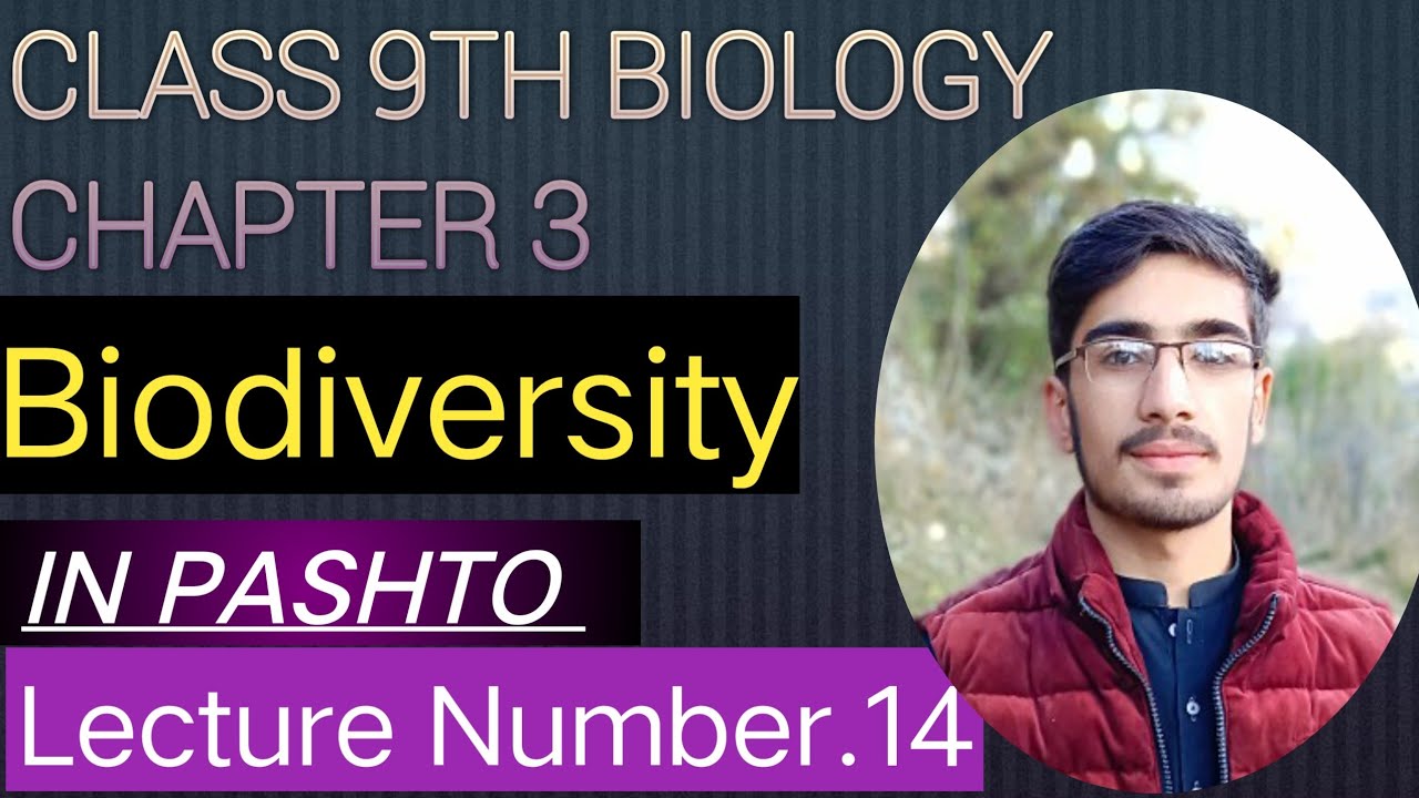 Biodiversity Definition Meaning Explanation And Importance Of biodiversity-definition-meaning-explanation-and-importance-of