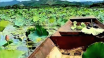 #vlog ! Chèo xuồng tham quan ao sen có 1 không 2 ở Nghệ An