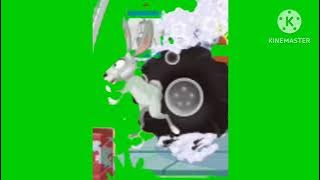 заяц бежит футаж