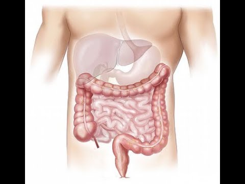 Jak oczyścić jelito wężem z wodą? Hydrokolonoterapia