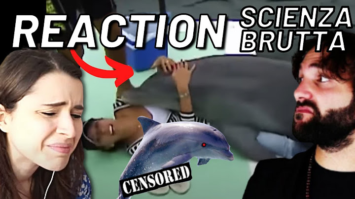 VOGHELITA REACTION A: QUELLO CHE NON VOLEVI SAPERE SUI DELFINI SCIENZA BRUTTA di BARBASCURAX