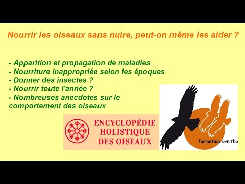 Nourrir les oiseaux : période, insectes, maladies... et bien plus !