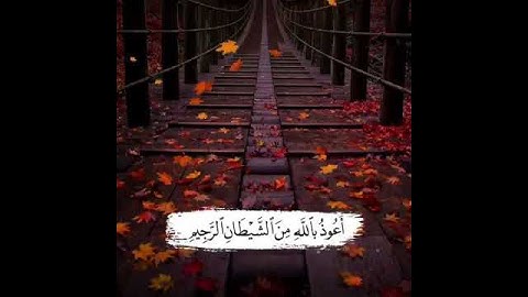 مقاطع/انستا/قرآن/قصير/سورة/الفاتحة