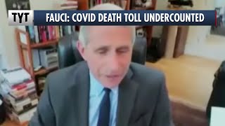 Dr. Fauci Thinks Death Toll Is Even Higher Net Worth