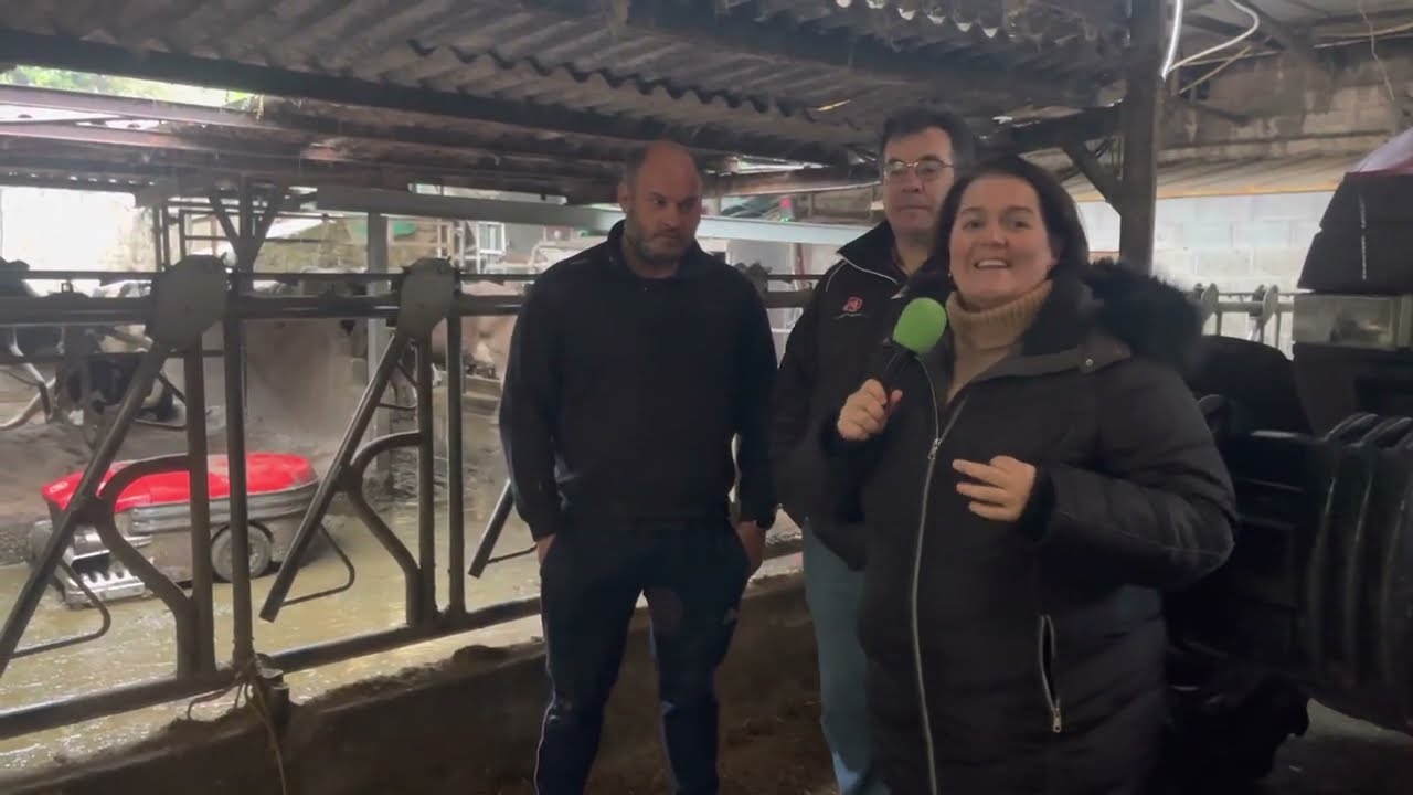 Pedro Naredo, de Ganadería Naredo de Los Villares (Cabranes) / El Campo de Asturias