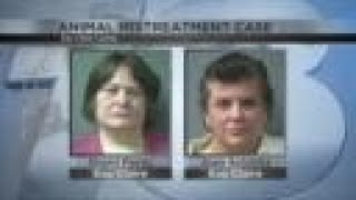 Probation ordered for woman in animal abuse case Wealth