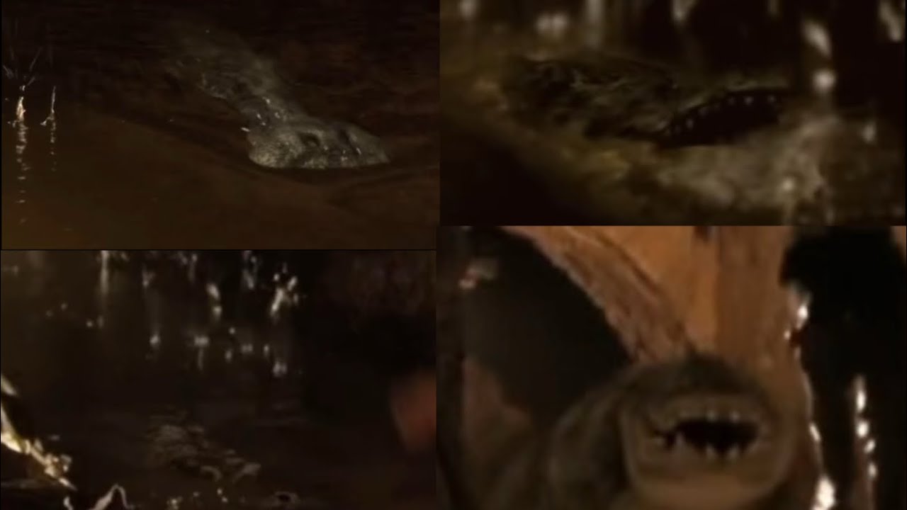 Sharknado 2 The Second One [2014] - Crocodile Screen Time