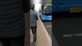 How to ride a bus in Korea (using KakaoMaps) screenshot 3