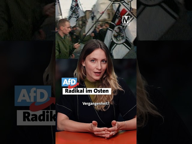 Mit der AfD in die Vergangenheit? - MONITOR #afd #sachsenanhalt #wahl #geschichte #fyp