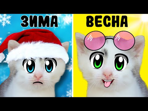 Видео: 24 ЧАСА с КОТАМИ ВЕСНОЙ ЧЕЛЛЕНДЖ! КОТ МАЛЫШ и КОШЕЧКА МУРКА ищут БУНКЕР в РЕАЛЬНОЙ ЖИЗНИ!