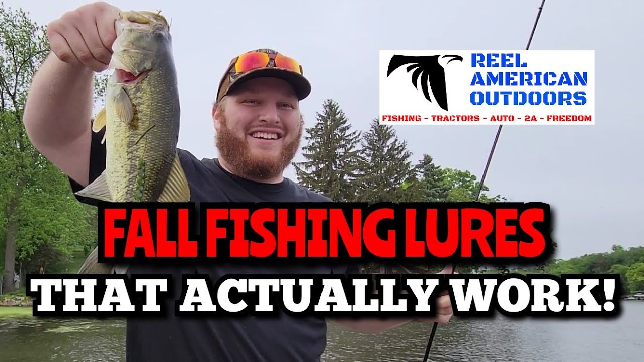 Fall Fishing Baits That ACTUALLY WORK for Bass! (2022) YouTube