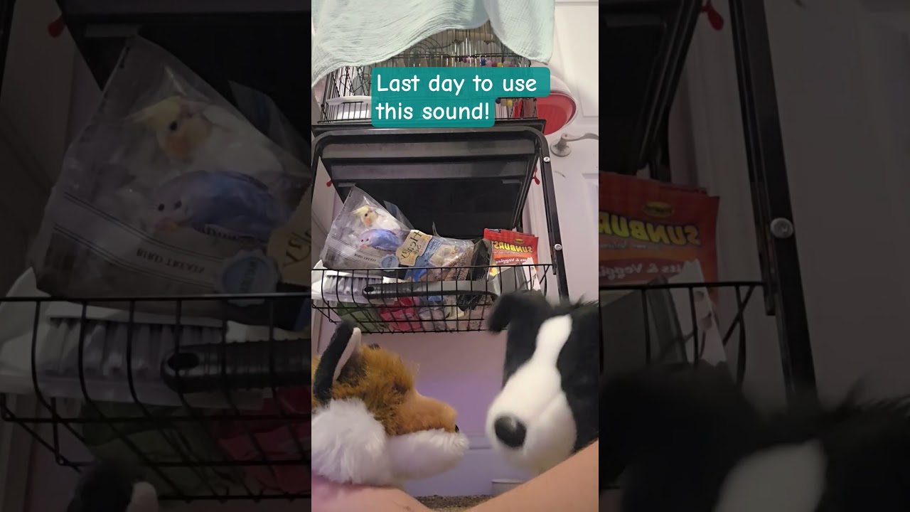 HAPPY NEW YEARS MY FLUFFERS!! :D 