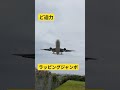 ラッピングジャンボど迫力#伊丹空港千里川土手 #ラッピング #着陸 #飛行機 #あるある #手元供養ドットコム