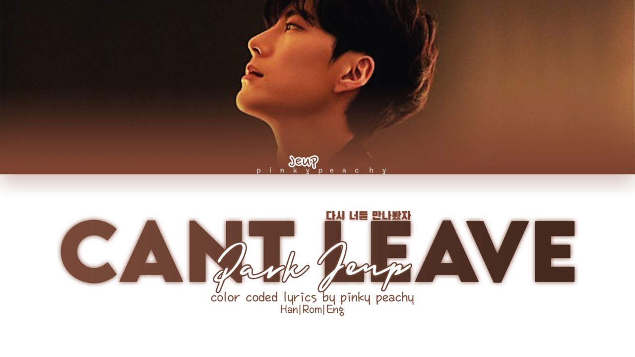 박제업 (Park Jeup) CANT LEAVE (다시 너를 만나봤자) Color Coded Lyrics By Pinky Peachy