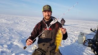 Devils Lake Jumbo Perch Day 2 (GIANT JUMBO)
