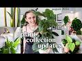 🪴 Everything going on in my plant collection in August 🪴