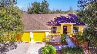 11301 Andy Dr Riverview Fl Cristina #1 Realtor Duncan Duo RE/MAX Home Video Tour 11301 Andy Dr Riverview Fl Cristina #1 Realtor Duncan Duo RE/MAX Home Video Tour