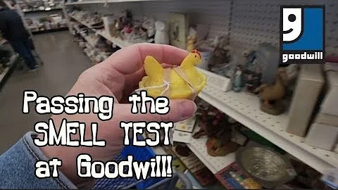 Passing the Smell Test at Goodwill! - Shop Along With Me - Goodwill Thrift Store