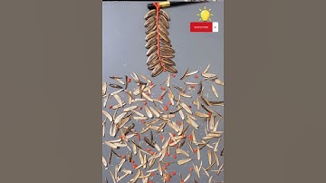 Diy.Hạt hướng dương làm tranh pháo nổ 2022.