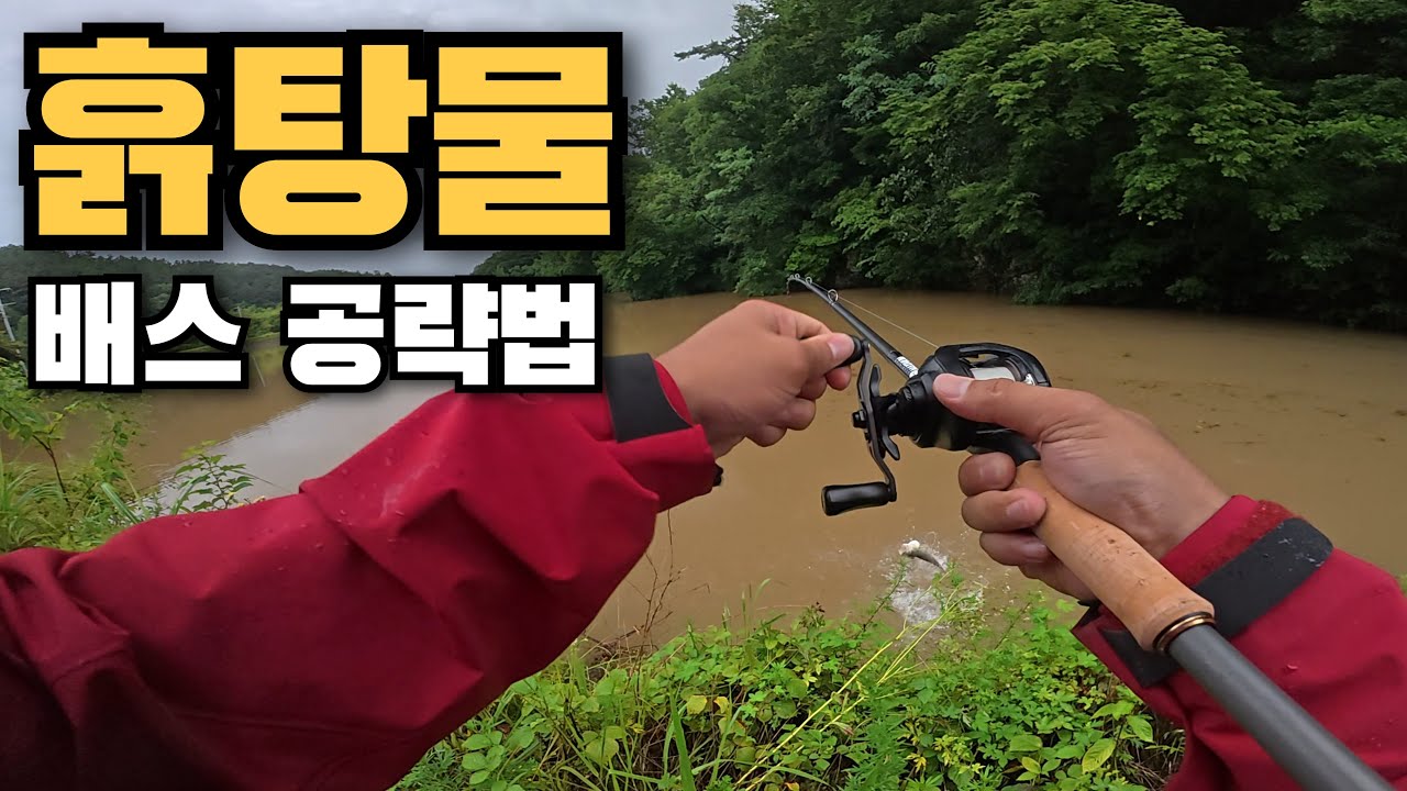 흙탕물에서도 배스 잡는 법! 초보자도 가능한 공략법![4K]