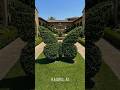 DIY Topiary Frame: Growing a Giant Butterfly in🦋🦋🦋 #TopiaryTutorial #ModernLandscaping #LuxuryGarden