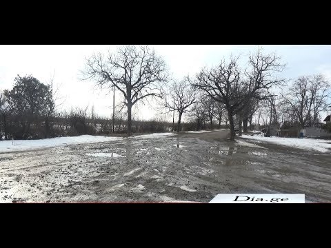 დაზიანებული გზა და წყლის გუბეები - ვითარება ქიწნისის მეურნეობაში 18.02.2020