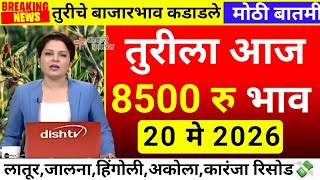 तुरीला आज सर्वाधिक 8500 रु भाव| tur bajar bhav akola|Tur bajar bhav jalana|tur bhav today