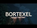 BORTEXEL - ВАНИЛЬНЫЙ СЕРВЕР MINECRAFT 1.14.4