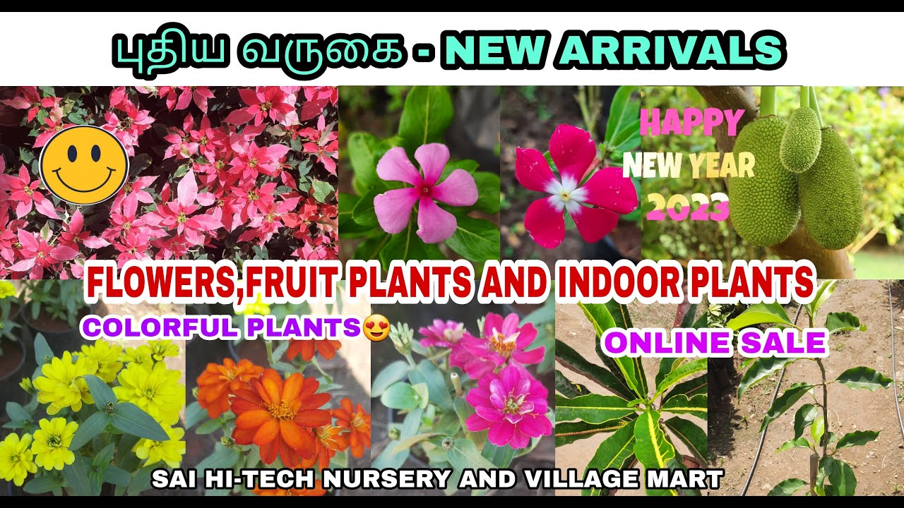 NEW PLANTS STOCK LIST| புதிய வருகை|நியூ ARRIVALS| ONLINE SALE 