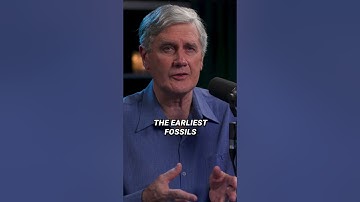 Does the fossil record show evolution from ‘simple’ to ‘complex’?