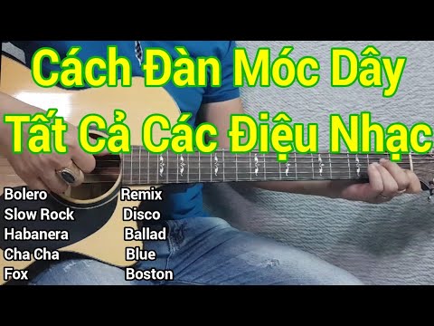 Video Cách Đàn Tất Cả Những Điệu Nhạc Thông Dụng Không Dùng... - youtube