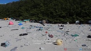 Henderson Island: Pacific graveyard for plastic pollution