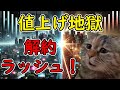 【猫ミーム】値上げで解約止まらず…ディズニープラス崩壊の裏側と赤字映画の衝撃