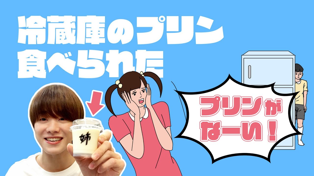 「バレへんのかい！」思わずツッコむ隠れ方で、怒ったお姉ちゃんから逃げ切れるか！？【冷蔵庫のプリン食べられた】