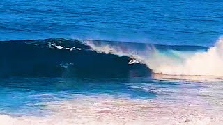 10 tubes from late season Backdoor - March 2022