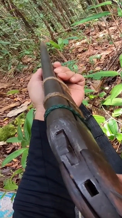 petualangan jelajah hutan kalimantan part 2