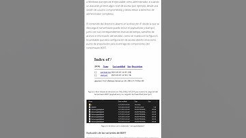 El #ransomware que encripta antes de que te des cuenta #BERT