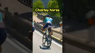This Rider's Quick Thinking Is Impressive  🤔Road Bike Race
