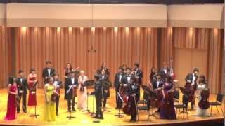 DVORAK Serenade for Strings Op. 22 Mvt. V Colburn Chamber Orchestra - Watch in HD