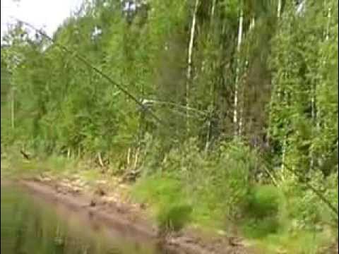 Сплав по реке Тавда