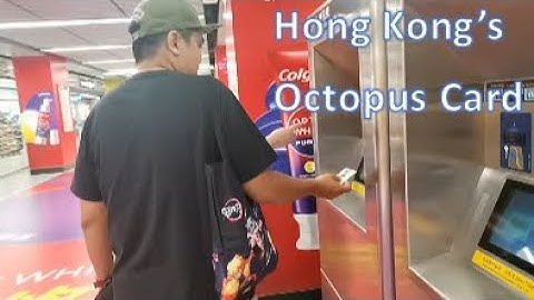 Things You Need to Know About Hongkong