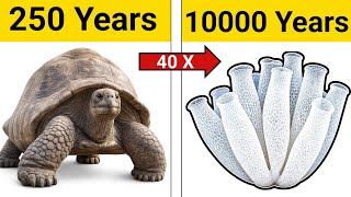 😱 10000 Year Old Animal? Longest Living Animals Ever