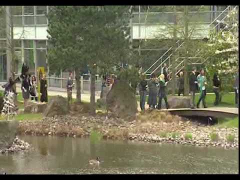 Enjoy-Work Easter Flash Mob
