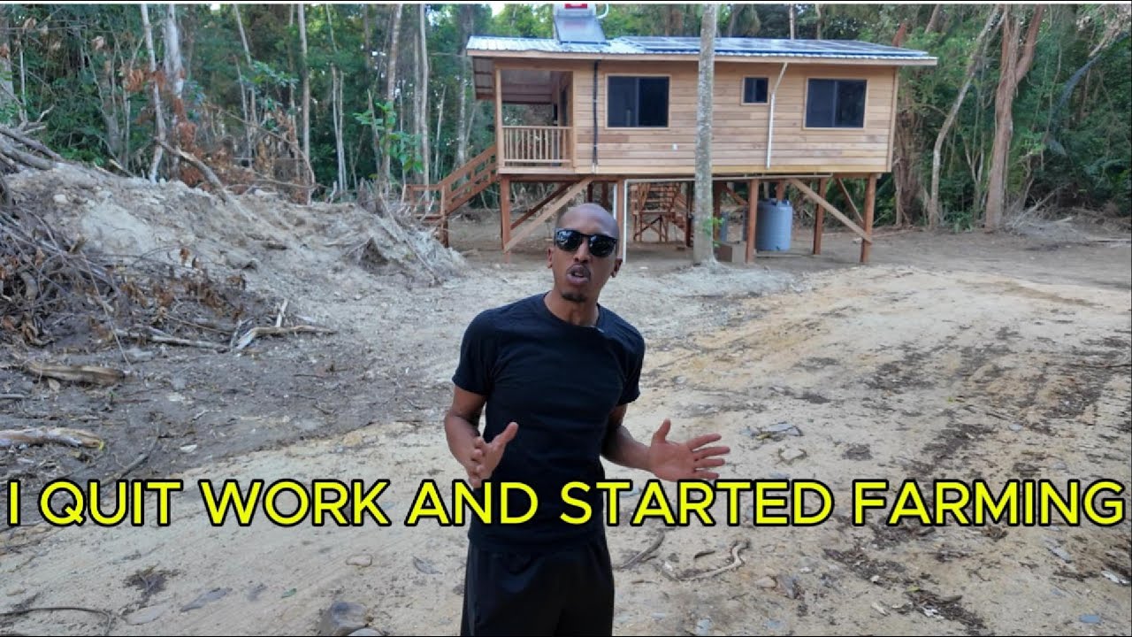 I quit my job moved off grid and started growing my own food!