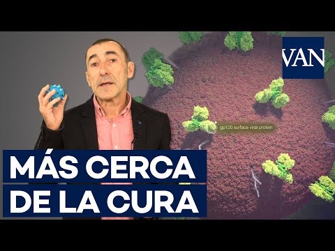 Vídeo: Un Adulto Se Curó Por Primera Vez Del VIH - Vista Alternativa