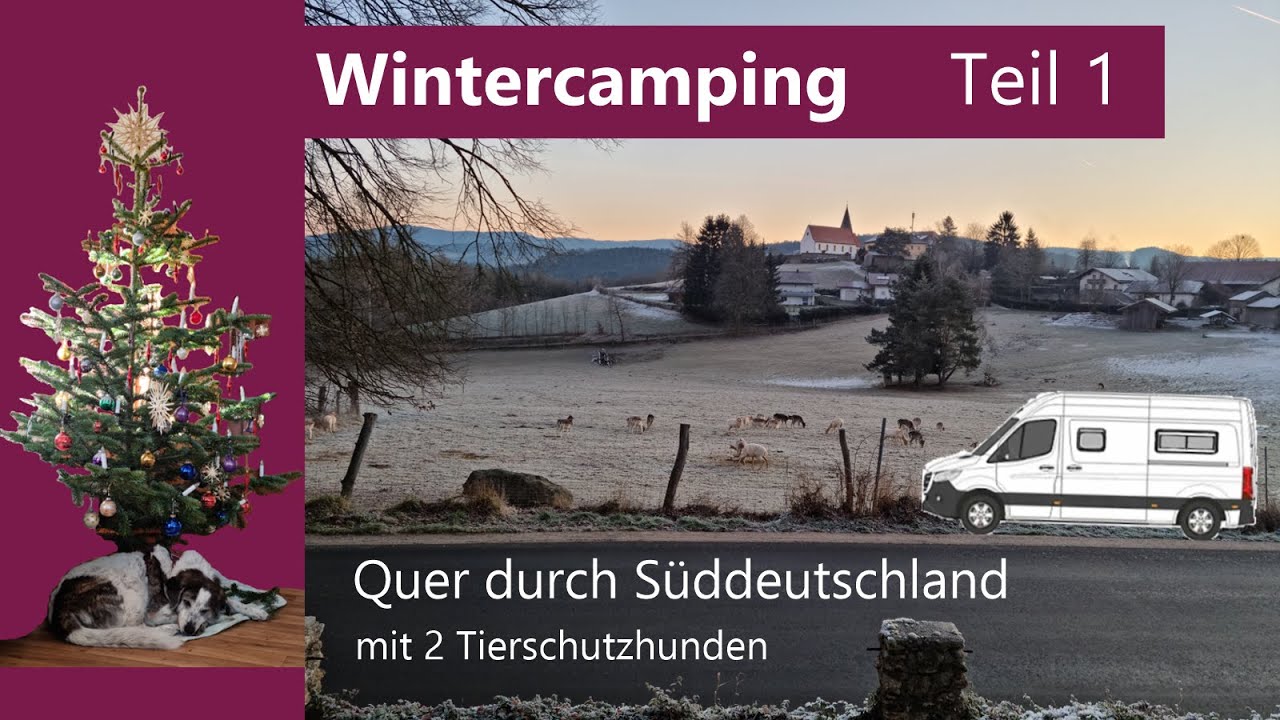 Wintercamping & Erdbeermarmelade - Mit 2 Tierschutzhunden im Van quer durch Süddeutschland