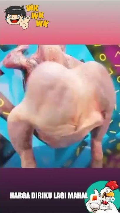 viral..bikin ketawa!! ayam yg sudah di potong tanpa bulu&kepala bisa bergoyang asik.mantap#short#