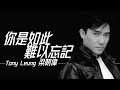 Tony leung   chinese pinyin lyrics i 1993