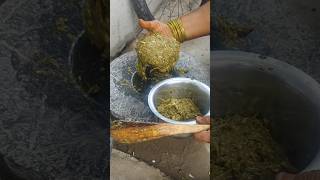 పల్లెటూరిలో అమ్మ చేసిన రోటి పచ్చడి# shana s Life style videos # daily vlogs # cooking videos