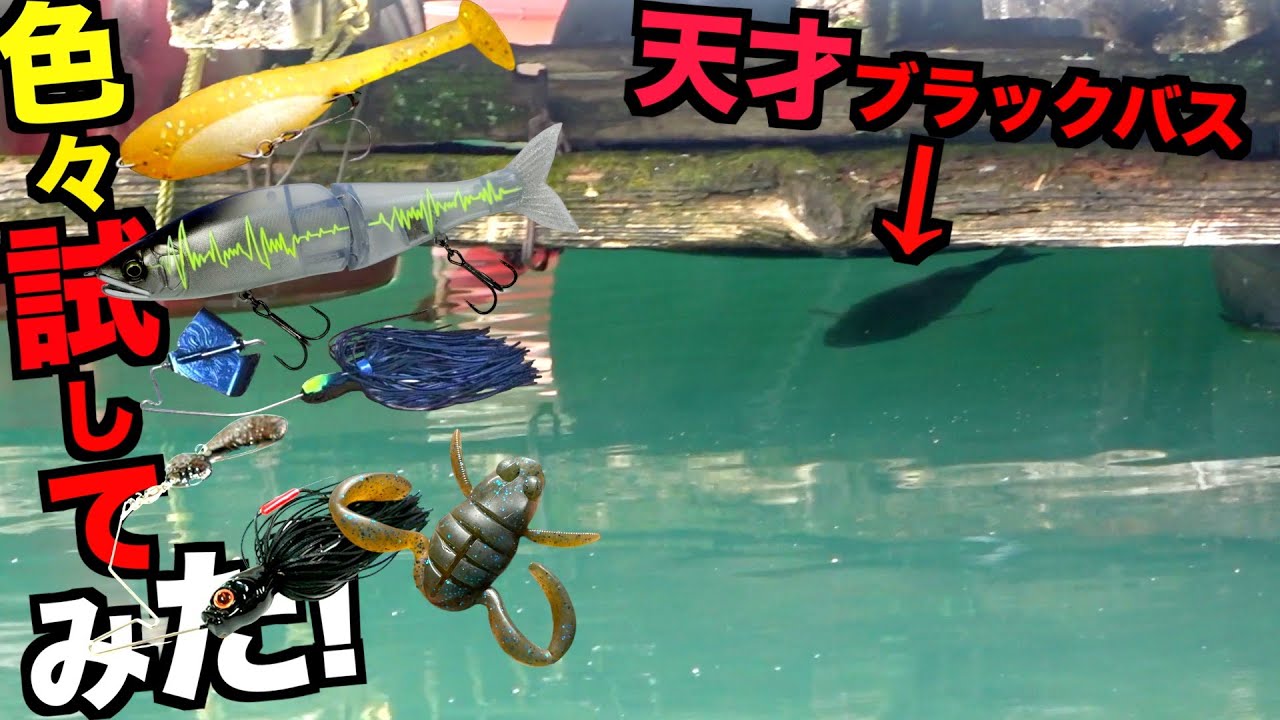 maxresdefault.jpg